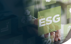 Mestrado e Doutorado em Administração