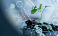 Mestrado em Engenharia Química