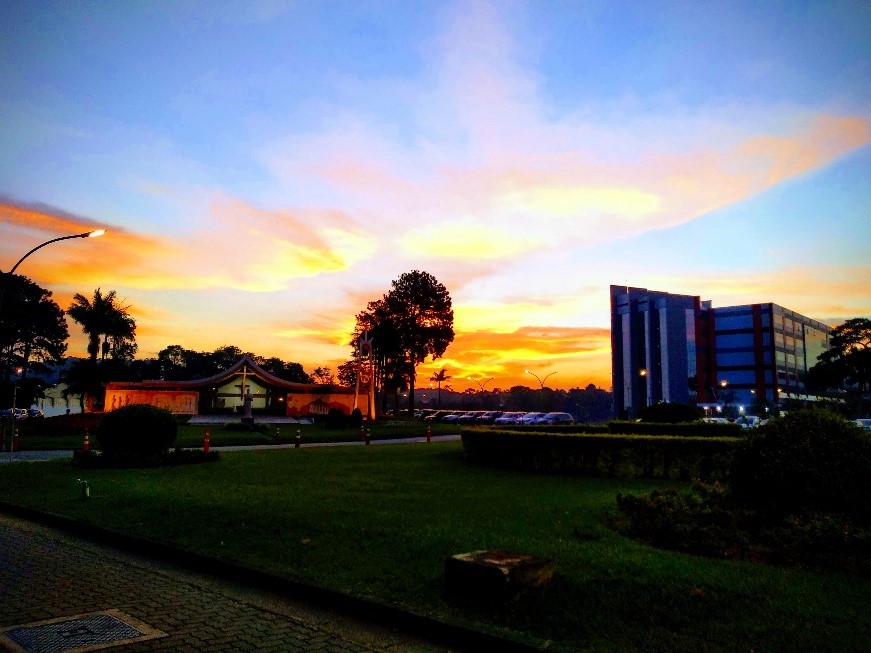 Wellness Center