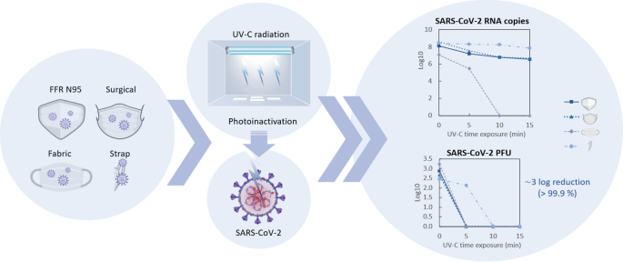 Graphical Abstract